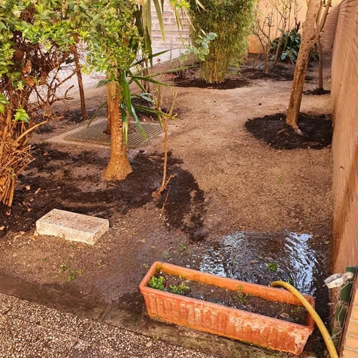 Imagen de WhatsApp 2025-08-06 a las 10.39.35_d5deaf01